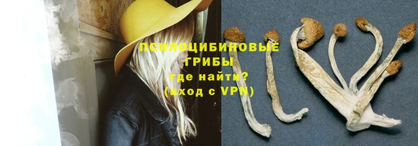 прущие грибы Арсеньев