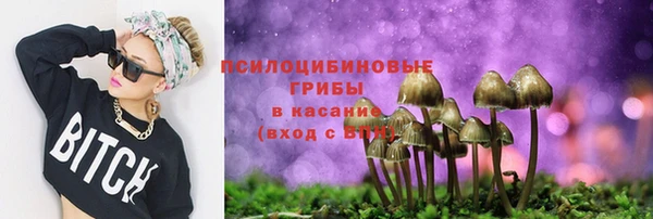 прущая мука Аркадак