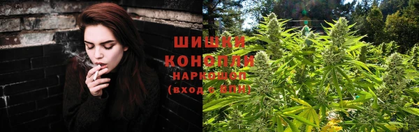 прущие грибы Арсеньев